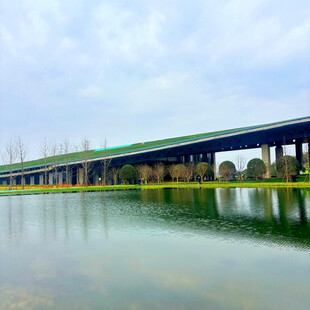 湖上高架桥