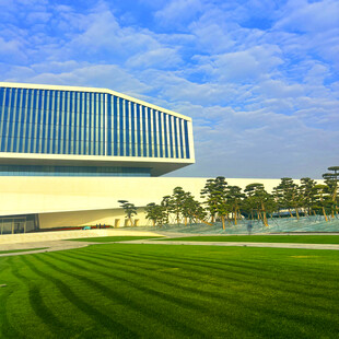 现代建筑旁的翠绿草坪