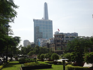 城市公园与远处高楼景观