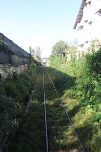 废弃铁轨旁的绿意风景