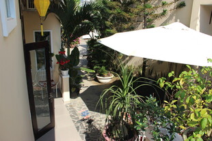 庭院绿植遮阳伞温馨一角