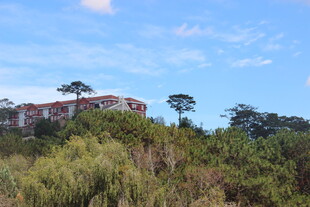 山坡上的红顶建筑