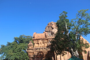 越南古老寺庙与葱郁树木相映