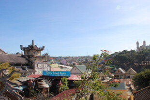 越南古雅村落景观