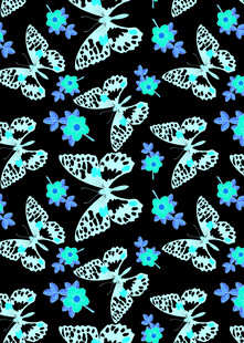 蓝白蝴蝶花朵黑色底纹图案
