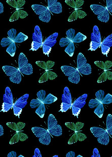 蓝绿蝴蝶黑色背景图案