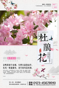 杜鹃花海报