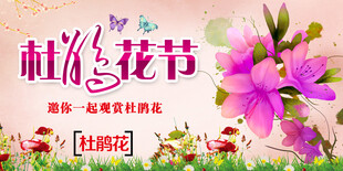杜鹃花海报