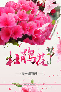 杜鹃花海报