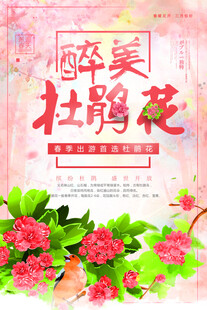 杜鹃花海报