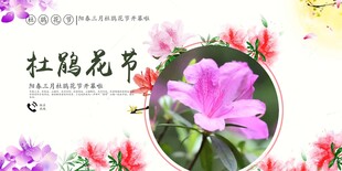 杜鹃花海报
