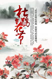 杜鹃花海报