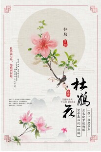 杜鹃花海报