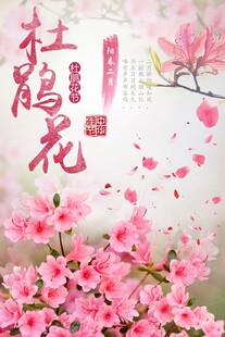 杜鹃花海报