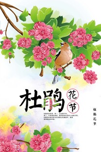 杜鹃花海报