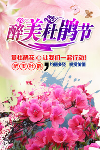 杜鹃花海报
