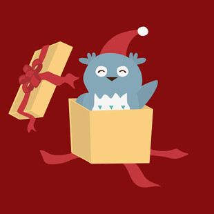 圣诞猫头鹰从礼盒中现身