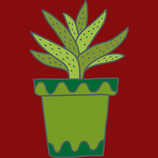 红色背景上的盆栽植物