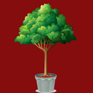 盆栽绿树简约清新风