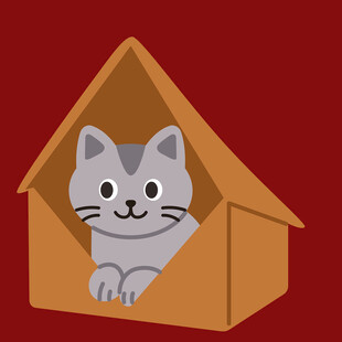 纸箱里探出脑袋的可爱猫咪