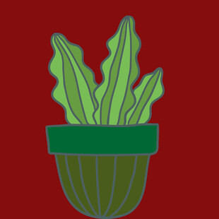 红色背景中的绿植盆栽