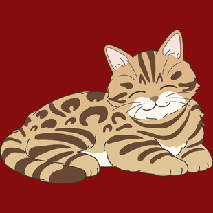 趴着的斑纹猫咪