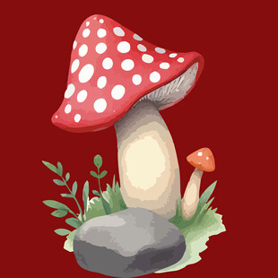 红色斑点蘑菇插画