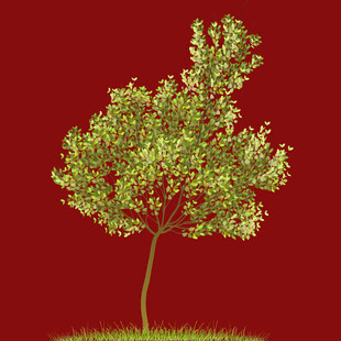 红色背景下的翠绿树木