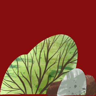 绿叶与石的自然景致