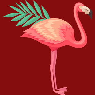 粉色火烈鸟插画