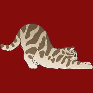 伸懒腰的斑纹猫咪