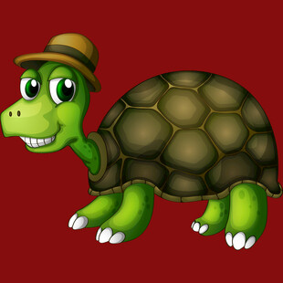 戴帽绿龟卡通形象