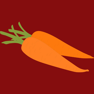 两根胡萝卜插画