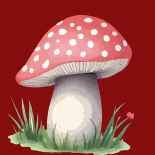 红色斑点蘑菇插画