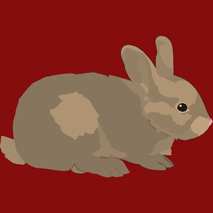 红色背景上的可爱小兔子