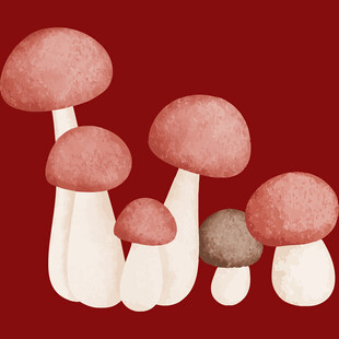 红色背景下的可爱蘑菇群