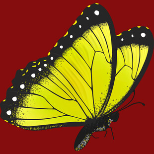 黄色蝴蝶在红色背景飞舞