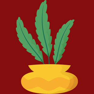 黄色花盆中的绿色植物