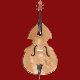 古典低音提琴展示
