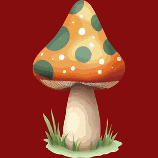 彩色斑点蘑菇插画