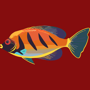 多彩条纹鱼插画