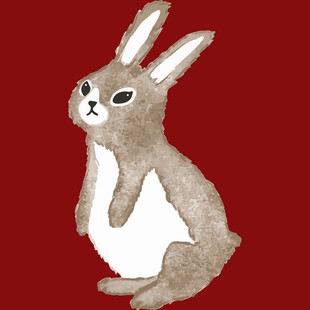 站立的可爱灰毛小兔子