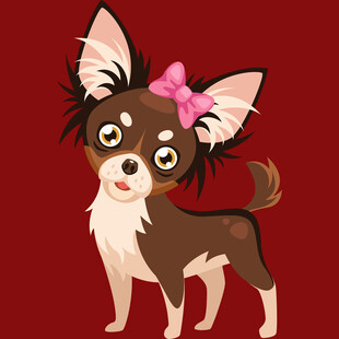 戴粉蝴蝶结的可爱小狗