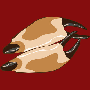 卡通风格动物蹄子插画