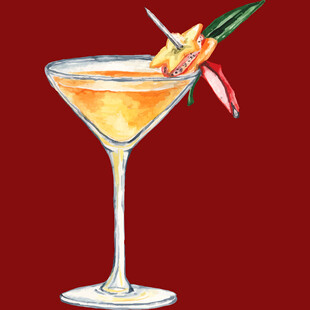 精致马天尼鸡尾酒