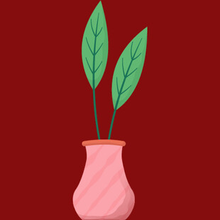 粉色花瓶中的绿植