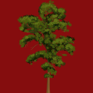 红色背景下的绿色树木