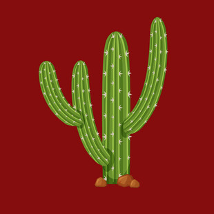 红色背景上的绿色仙人掌