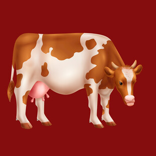 奶牛插画