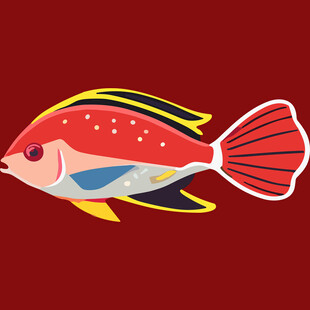 红色条纹观赏鱼插画